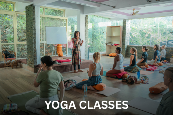 Yoga | The Creations Scholar Yoga | The Creations Scholar